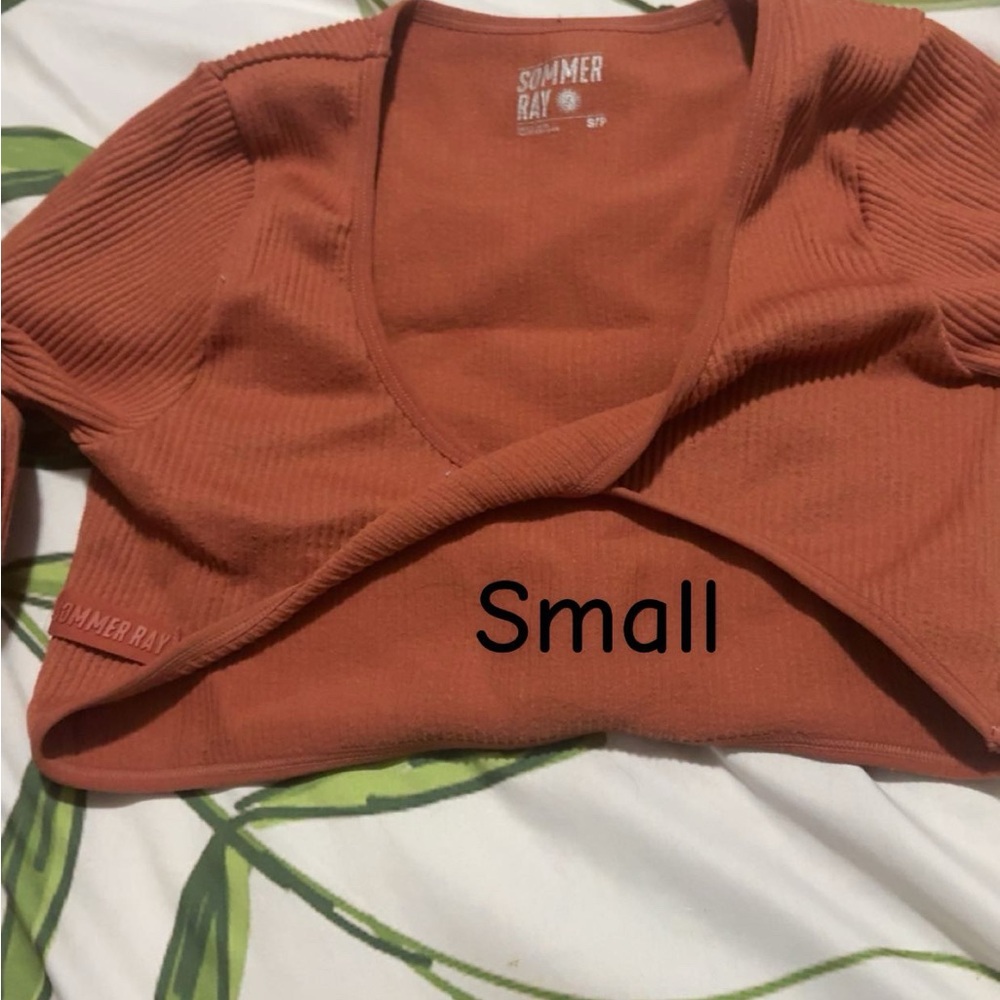 Sommer Ray Rust Crop Top